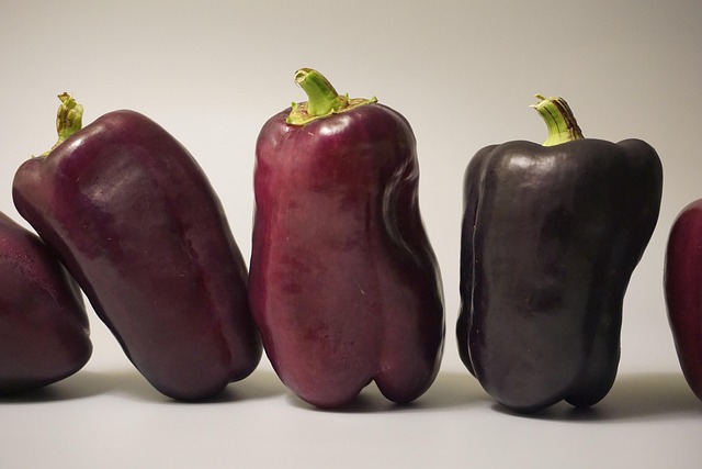 Gesunde ernährung trifft fitness: Der perfekte weg zur wunschfigur